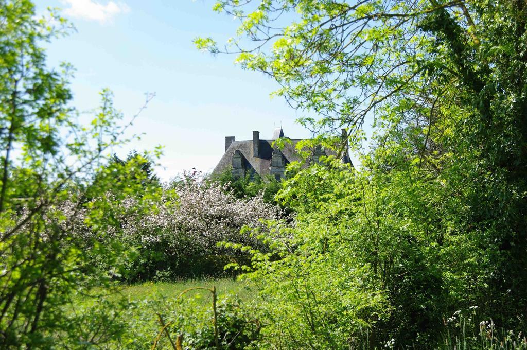 Chateau De Vermette Hotel La Chapelle-Gaudin Exterior foto
